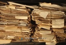 Ja kush kanë qenë sportistët me biografi të keqe në klubin Vllaznia