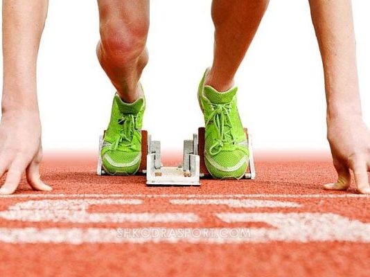 ATLETIKE- LIBRI I ARTE: TITUJT KAMPIONE (MESHKUJ) NE VITE