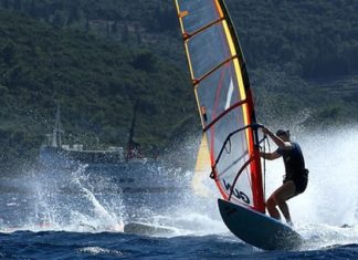 Fringilla lobortis posuere at odio.