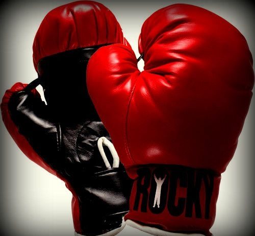 Nis Kupa e Shqipërisë. Vllaznia s’ka pretendime