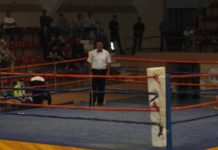 Shtatori sjell boks profesionist në Shkodër