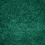 grass-1587512_1280