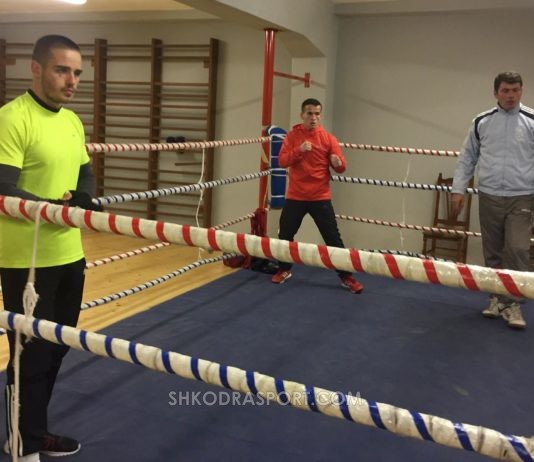 Kombëtarja e Maqedonisë stërvitje në Shkodër para Europianit