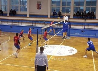 Volejboll meshkuj/ “Habit” Vllaznia, e mund edhe një tjetër kundërshtar