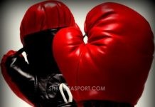 BOKS- LIBRI I ARTË, KAMPIONËT NË VITE (si individ)