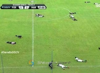 Kur ndeshja e futbollit ndërpritet nga… një tufë bletësh! (VIDEO)