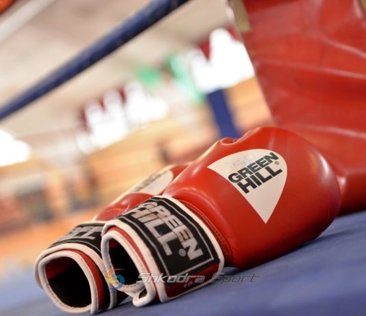 BOKS/ Senad Drini dhe Geljan Rajku nuk ia dalin. Mbyllet rrugëtimi i kuqezinjve në turneun e Budvas