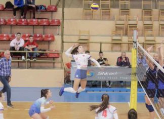 Volejbollistet e Vllaznisë nesër miqësore në Tivar