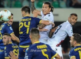 Interi i çmendur pas Marash Kumbullës, të gjithë e duan shqiptarin