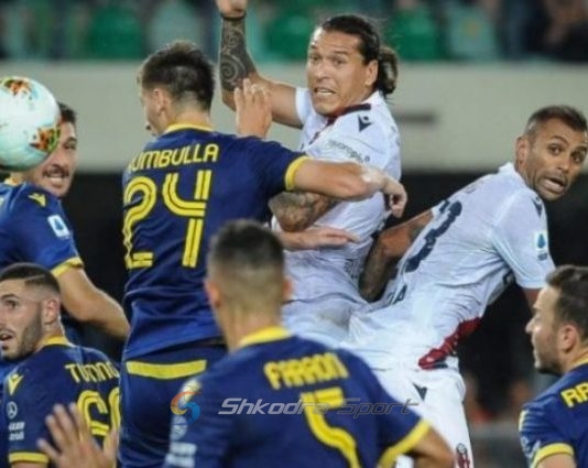 Interi i çmendur pas Marash Kumbullës, të gjithë e duan shqiptarin