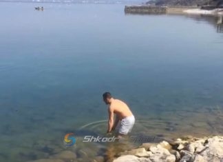 Karantinë jo, por kampioni i boksit e shfrytëzon ditën për t’u larë në Shirokë