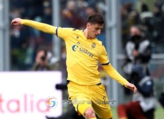 E bujshme nga Italia, Verona po punon për të rinovuar me Kumbullën