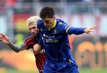 Një talent nuk e humbet vlerën nga koronavirusi, çmimi i Kumbullës në merkato nuk ndryshon