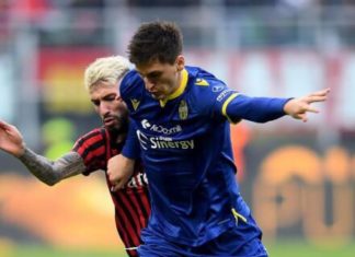 Një talent nuk e humbet vlerën nga koronavirusi, çmimi i Kumbullës në merkato nuk ndryshon