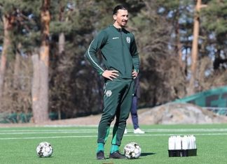 E ardhmja e Ibrahimoviç mund të jetë në Suedi, drejtori sportiv e miraton