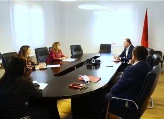 Ultimatum për kampionatin/ Zbulohet kërkesa e FSHF-së, Shulku: Jemi në luftë me kohën, ja kur duhet të fillojnë ndeshjet