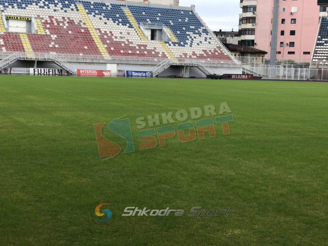 Fusha e Loro Boricit