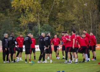 Trajneri Reja grumbullon edhe dy lojtarë të tjerë të kampionatit shqiptar në kombëtare