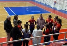 ‘Vllaznia Diasporë’ ndërmerr një nisëm fantastike: Mbledhjen e fondeve për volejbollin e femrave!